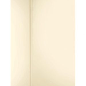 Морозилка FV-115 BEIGE POZIS