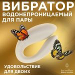 Вибратор водонепроницаемый для пары с дистанционным управлением SD-CS10P17 SECRETDATE