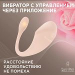 Вибратор с управлением через приложение SD-WS9A09 SECRETDATE