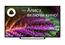 Телевизор 55" DLED 4K UHD Ya’OS SMART 55LU8120T ASANO