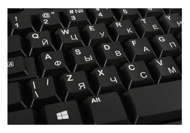 Клавиатура K120 USB 104кл. EN/RU черная/белая раскладка 920-002522 LOGITECH — изображение 5